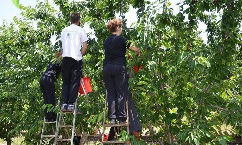 Η ανεργία χτυπάει κόκκινο στην Ήπειρο και ψάχνουν για εργάτες από την Αλβανία!